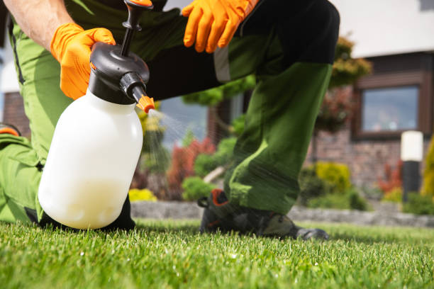Best Local Pest Control Services  in Pearisburg, VA