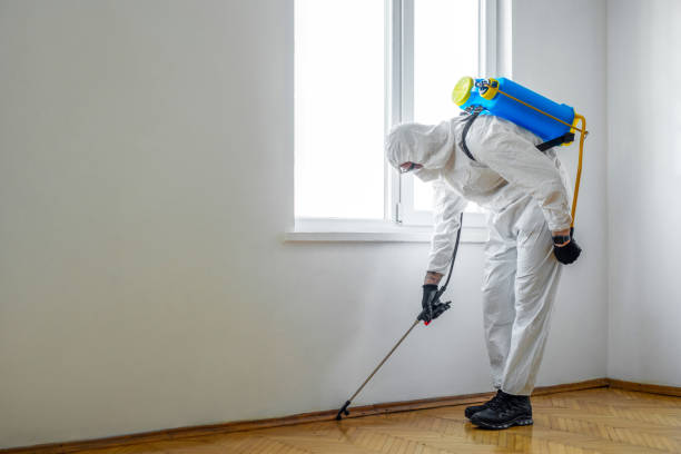Best Mosquito Control Services  in Pearisburg, VA