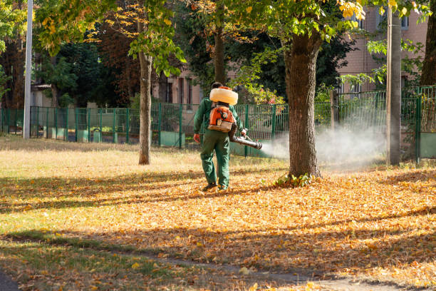 Best Commercial Pest Control Services  in Pearisburg, VA