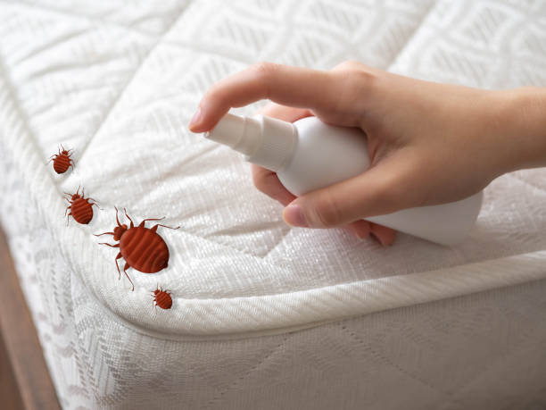 Best Best Pest Control Companies  in Pearisburg, VA