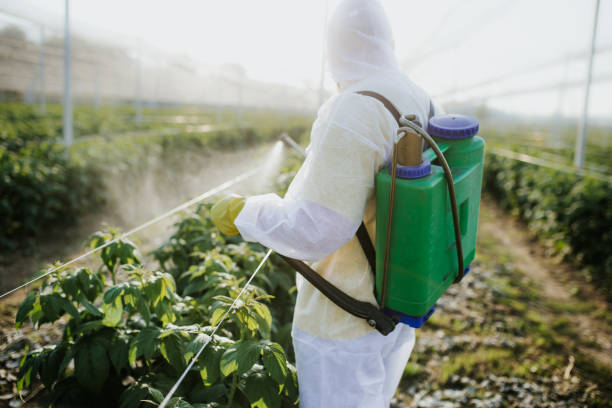  Pearisburg, VA Pest Control Pros
